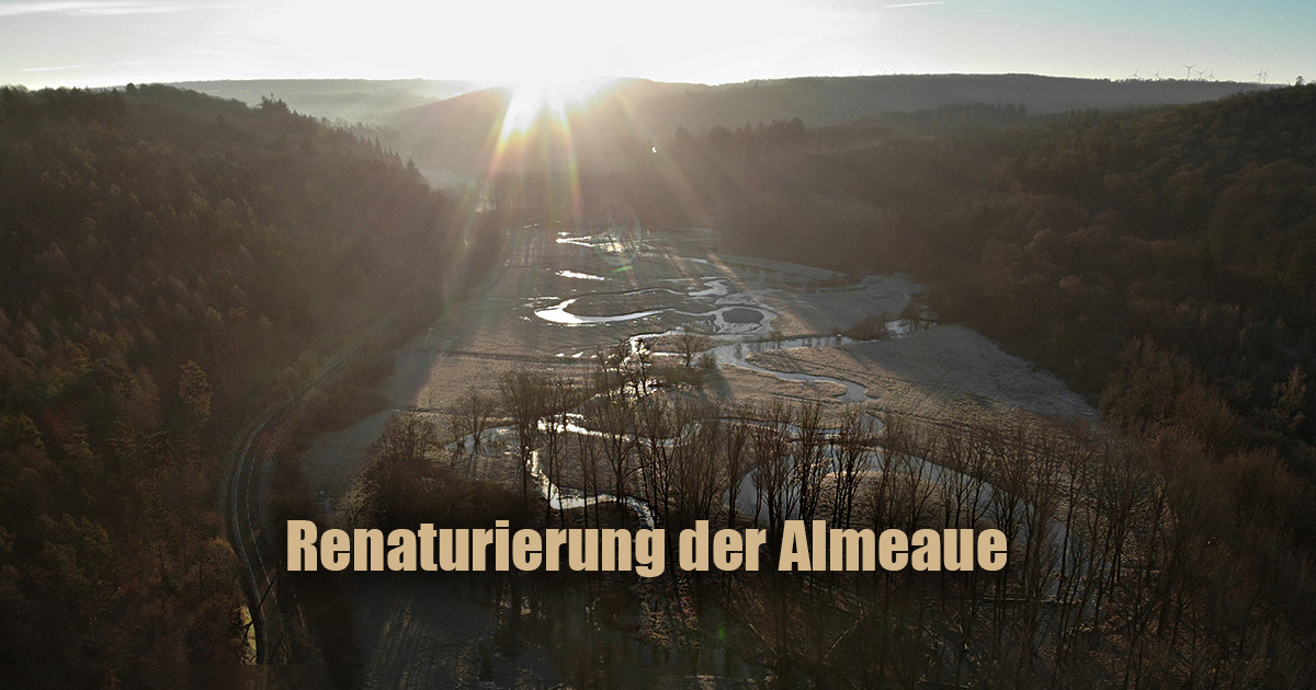 Renaturierung der Almeaue