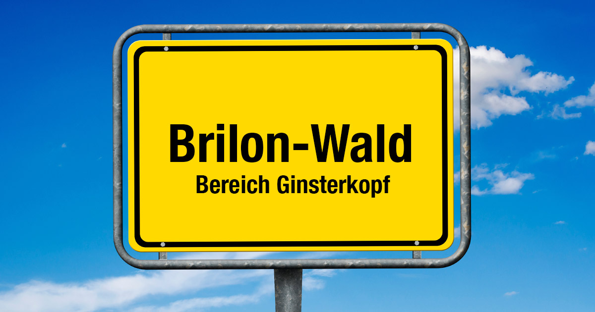 Brilon Wald