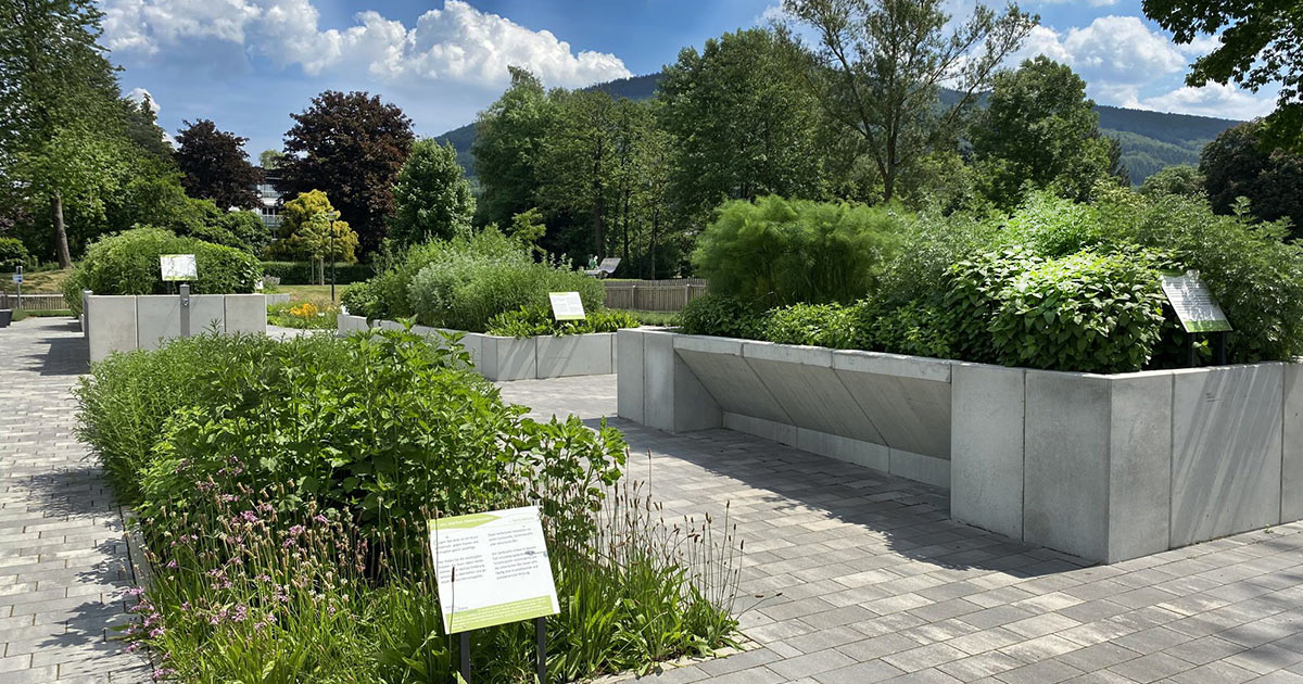 Kraeuter im Kneipp Erlebnispark Olsberg