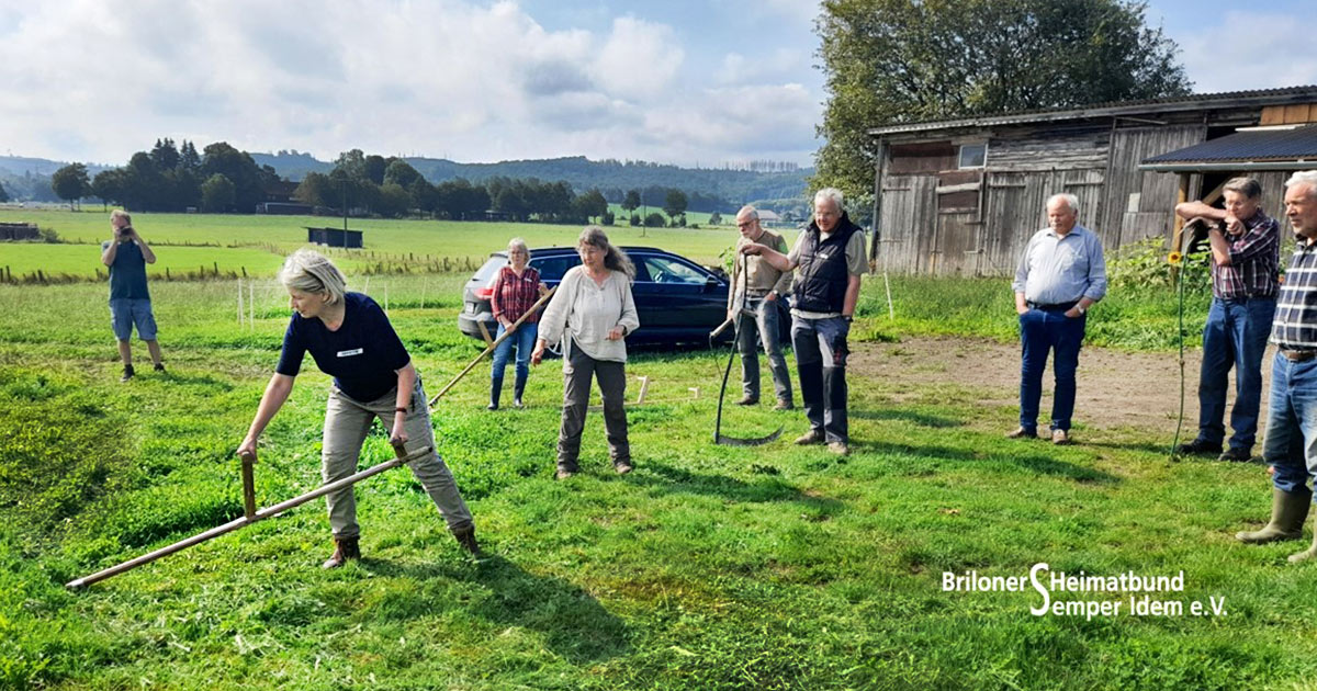 Sensenkurs an der Briloner Eselschule am 12. Juli 2026 - Uraltes Handwerk neu erlernt! 6 Sensenkurs an der Briloner Eselschule