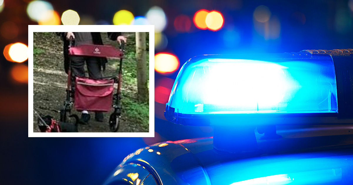 roter Rollator der Marke Kesser gesucht