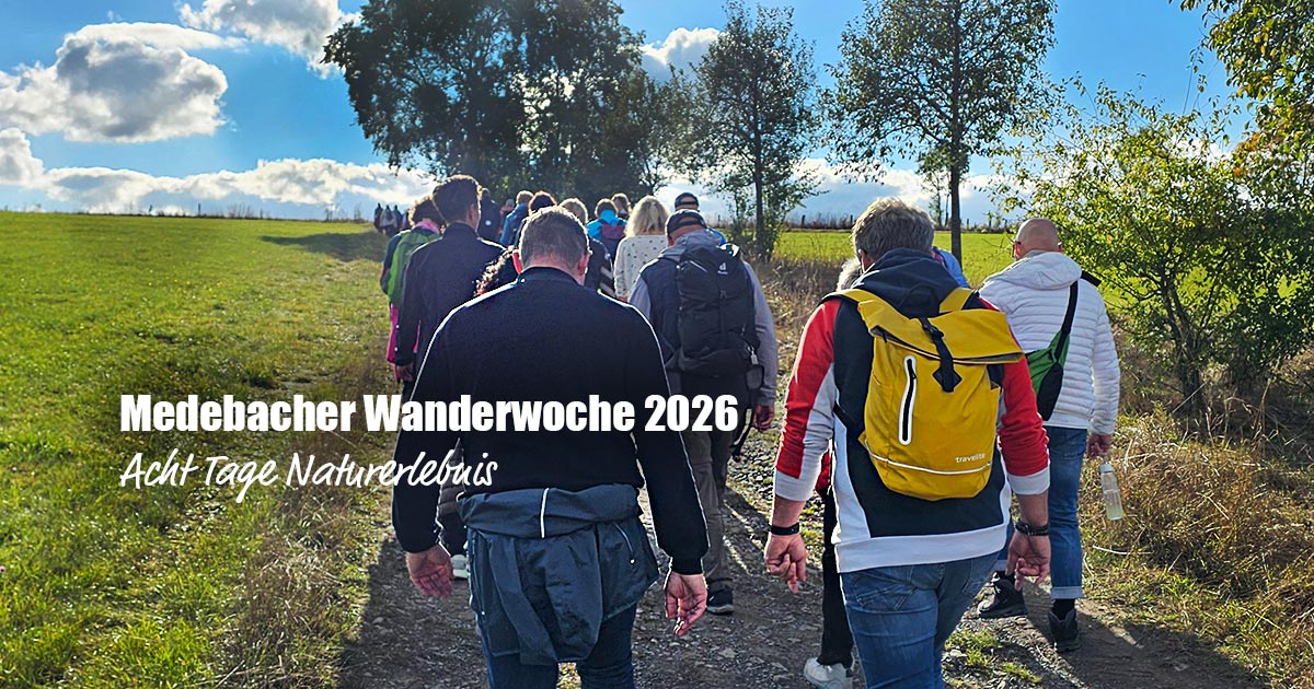 Medebacher Wanderwoche 2026: Acht Tage Naturerlebnis – Jetzt anmelden! 25 Medebacher Wanderwoche