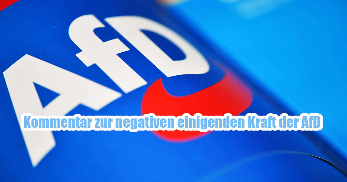 Kommentar von "nd.DerTag" zur negativen einigenden Kraft der AfD 13 AfD