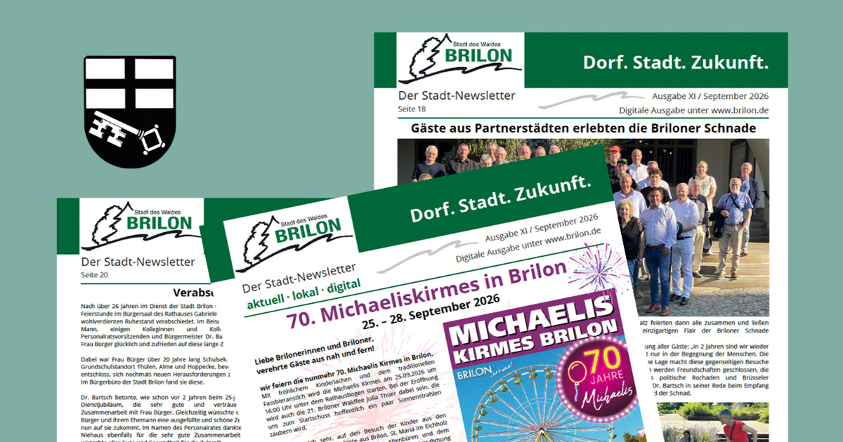 Ausgabe 11 des Stadt-Newsletters: aktuell - lokal - digital 7 Ausgabe 11 des Stadt Newsletters 1