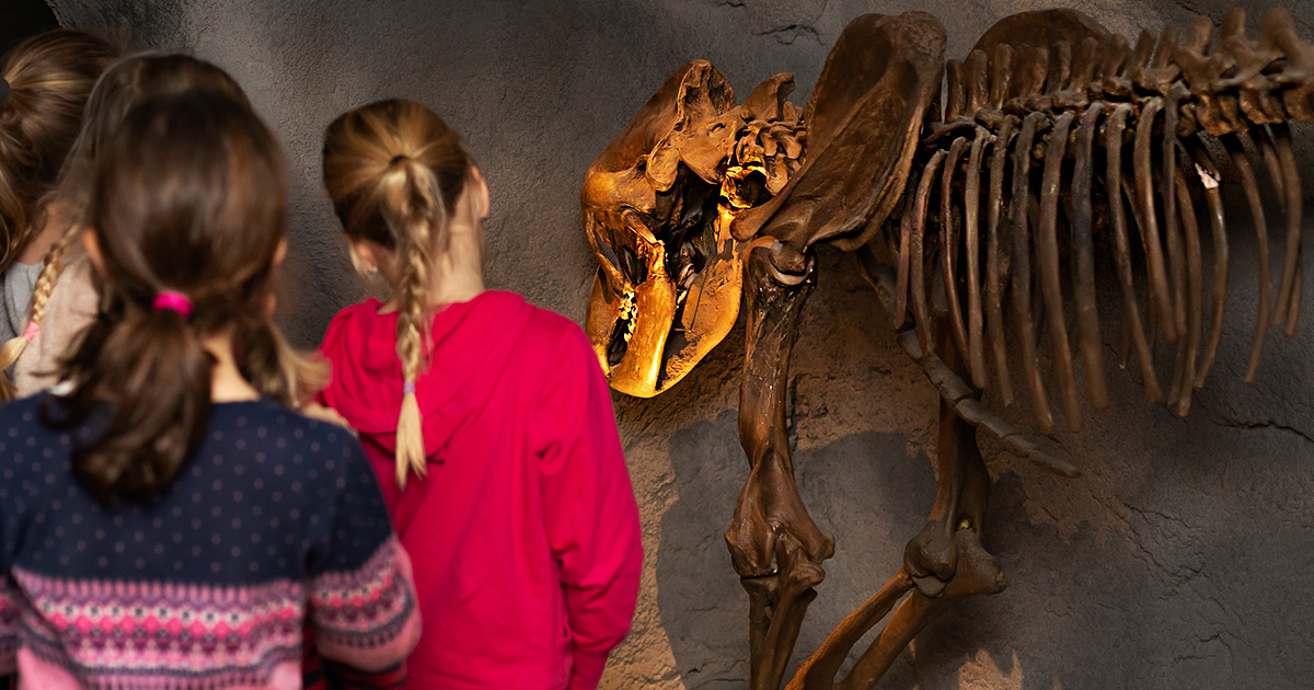 Angebote fuer Kinder im Sauerland Museum Ferienprogramm und Taschenlampenfuehrungen