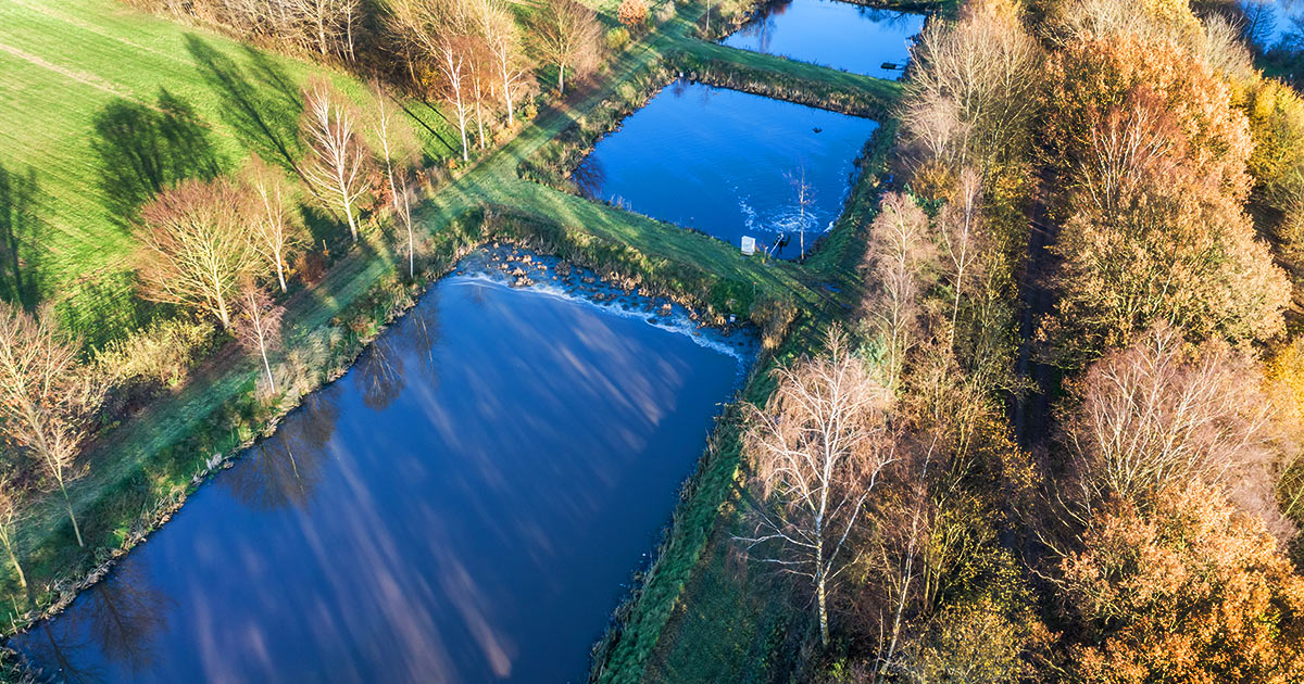 Heimischer Fisch was in deutschen Gewaessern und Teichen steckt