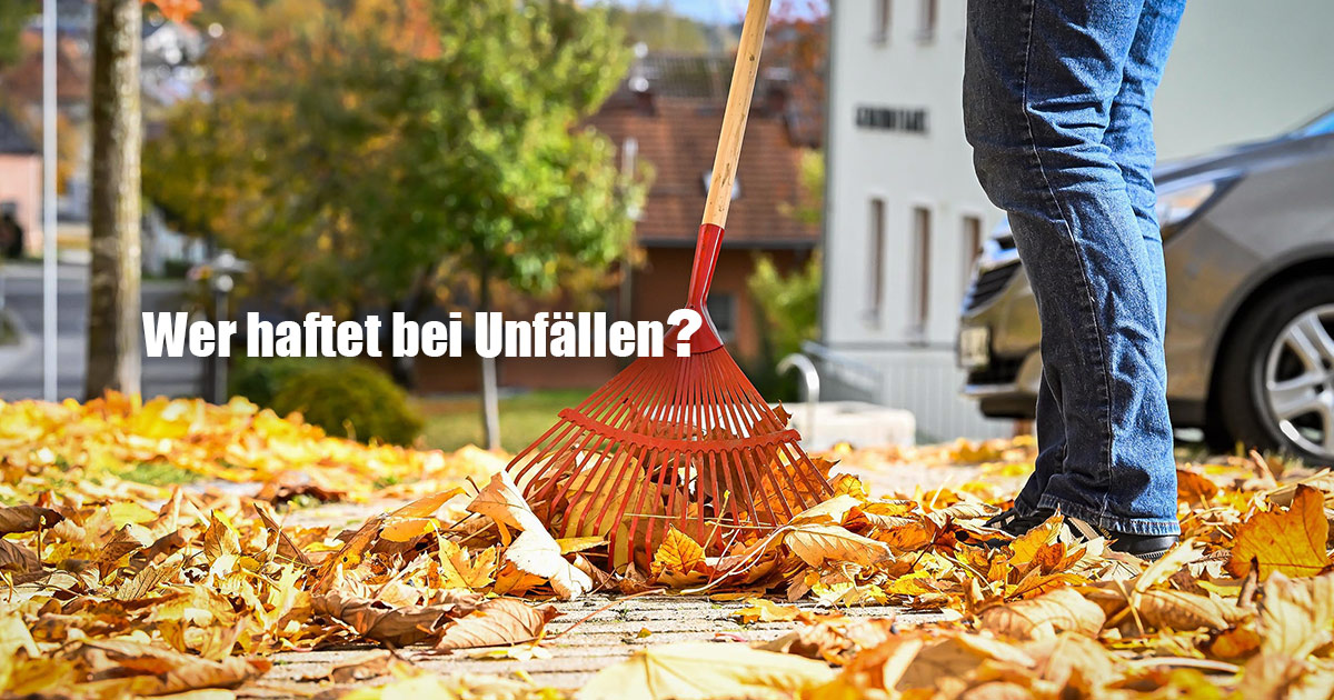 Nasses Herbstlaub wer haftet bei Unfaellen