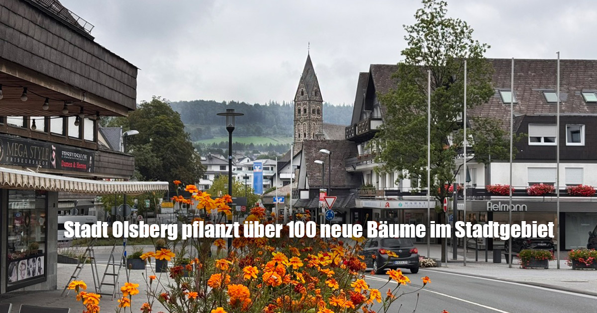 Stadt Olsberg pflanzt ueber 100 neue Baeume im Stadtgebiet